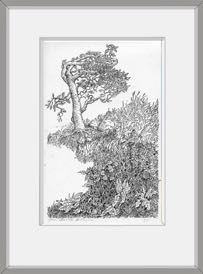 levensboom
Pen en inkt