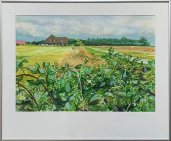 Immetjeshoeve Texel
Aquarel in lijst 50x60
€ 500,00